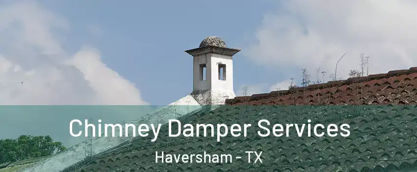 Chimney Damper Services Haversham - TX