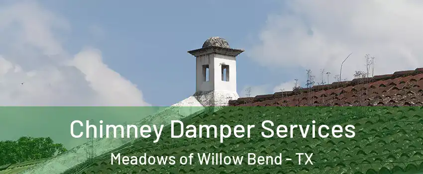 Chimney Damper Services Meadows of Willow Bend - TX