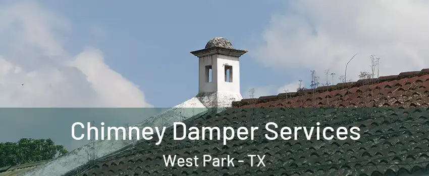 Chimney Damper Services West Park - TX