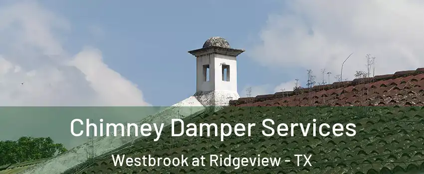 Chimney Damper Services Westbrook at Ridgeview - TX