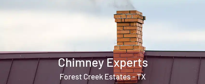 Chimney Experts Forest Creek Estates - TX