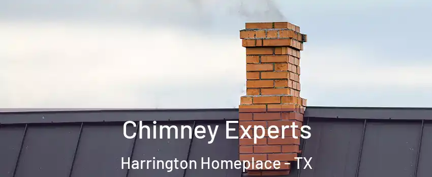 Chimney Experts Harrington Homeplace - TX
