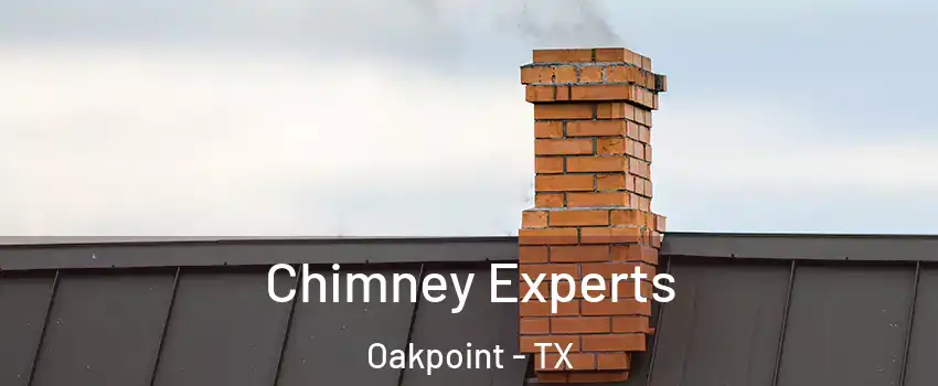 Chimney Experts Oakpoint - TX