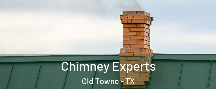 Chimney Experts Old Towne - TX