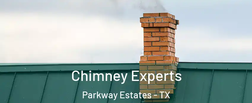 Chimney Experts Parkway Estates - TX