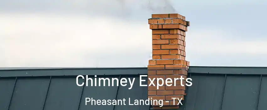 Chimney Experts Pheasant Landing - TX