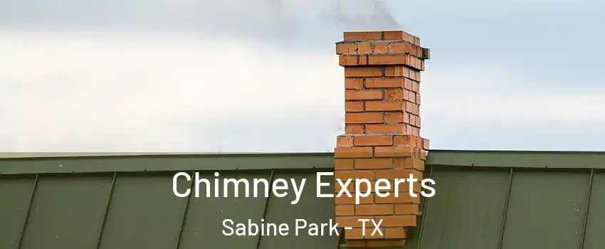 Chimney Experts Sabine Park - TX