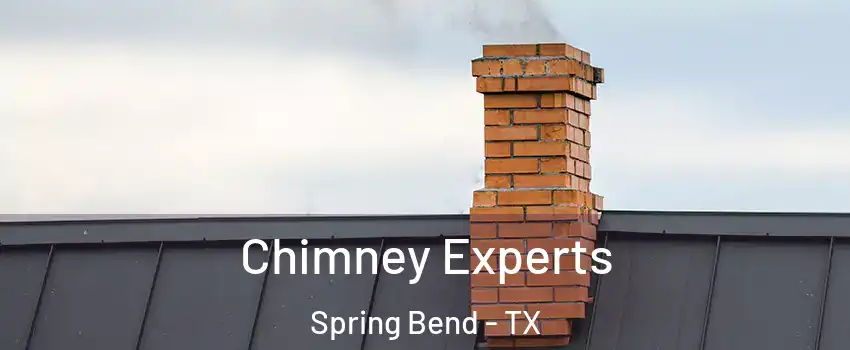 Chimney Experts Spring Bend - TX