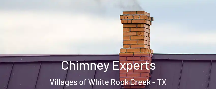 Chimney Experts Villages of White Rock Creek - TX