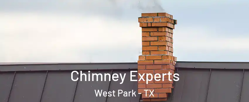Chimney Experts West Park - TX