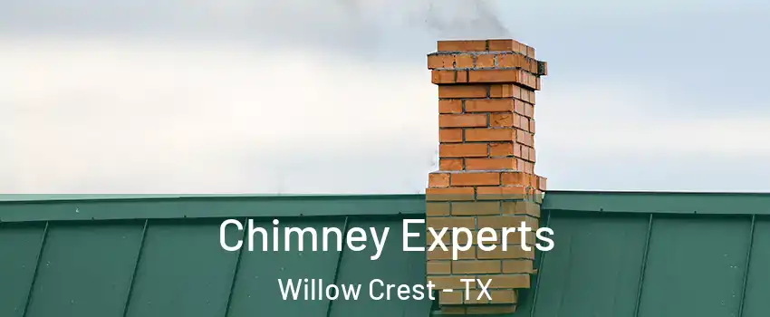 Chimney Experts Willow Crest - TX