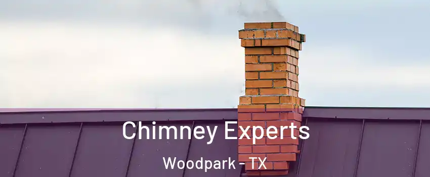 Chimney Experts Woodpark - TX