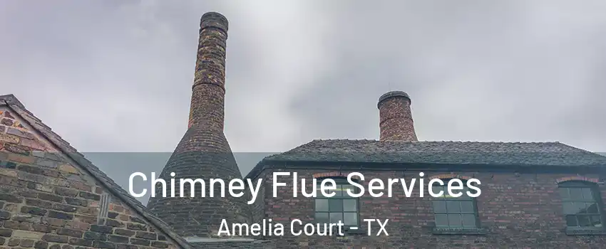 Chimney Flue Services Amelia Court - TX
