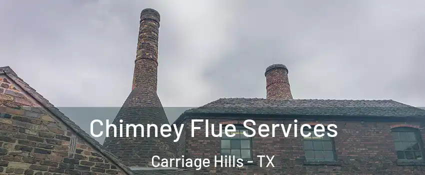 Chimney Flue Services Carriage Hills - TX