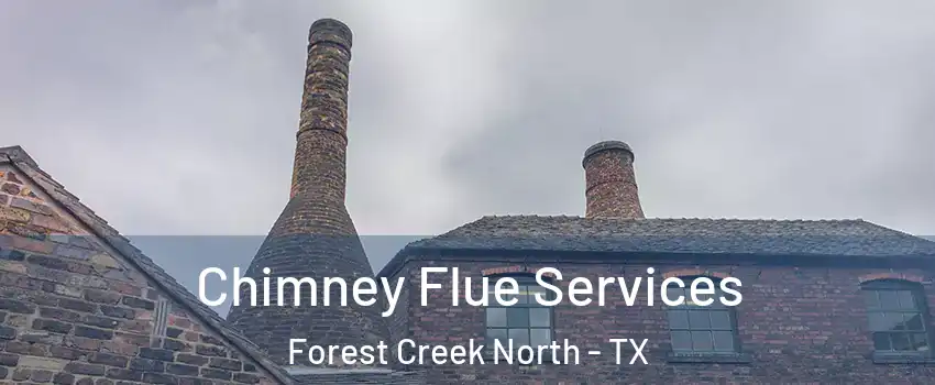 Chimney Flue Services Forest Creek North - TX