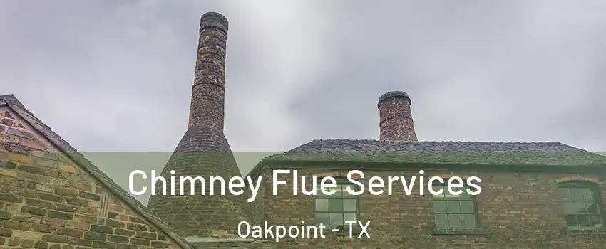 Chimney Flue Services Oakpoint - TX