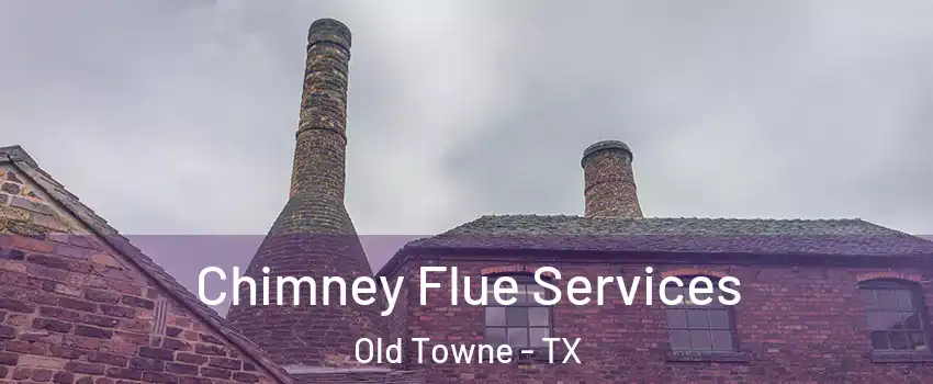 Chimney Flue Services Old Towne - TX
