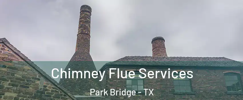 Chimney Flue Services Park Bridge - TX