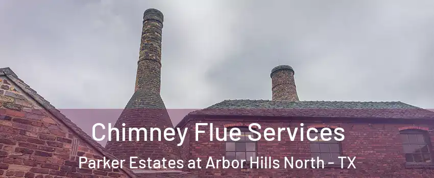 Chimney Flue Services Parker Estates at Arbor Hills North - TX