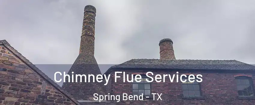 Chimney Flue Services Spring Bend - TX
