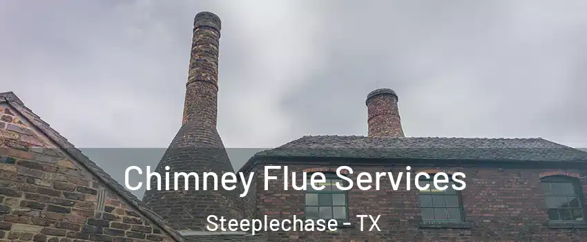 Chimney Flue Services Steeplechase - TX
