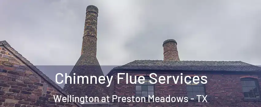 Chimney Flue Services Wellington at Preston Meadows - TX