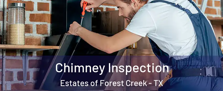 Chimney Inspection Estates of Forest Creek - TX