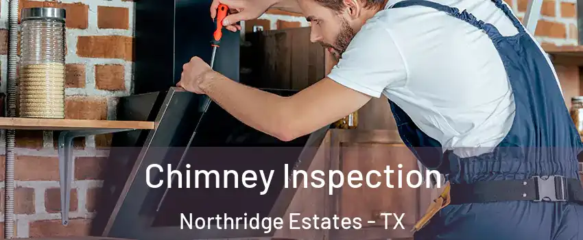 Chimney Inspection Northridge Estates - TX