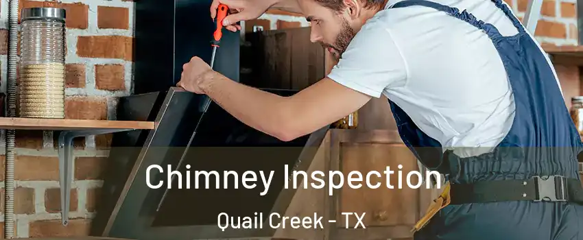 Chimney Inspection Quail Creek - TX