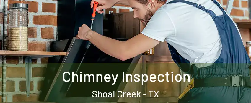 Chimney Inspection Shoal Creek - TX