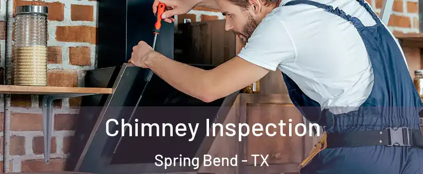 Chimney Inspection Spring Bend - TX