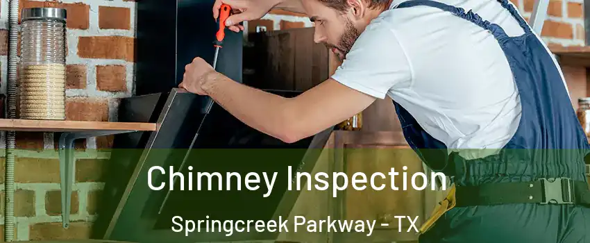 Chimney Inspection Springcreek Parkway - TX