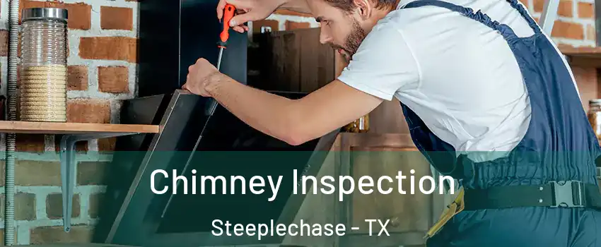 Chimney Inspection Steeplechase - TX