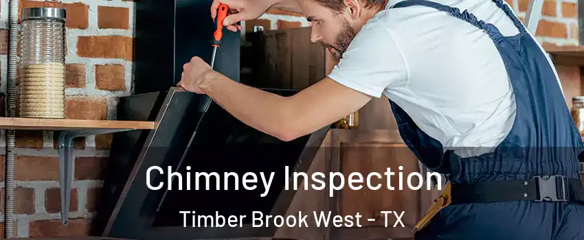Chimney Inspection Timber Brook West - TX