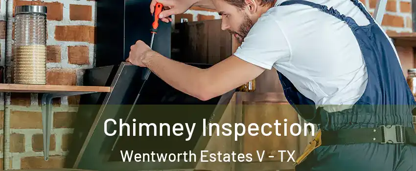 Chimney Inspection Wentworth Estates V - TX