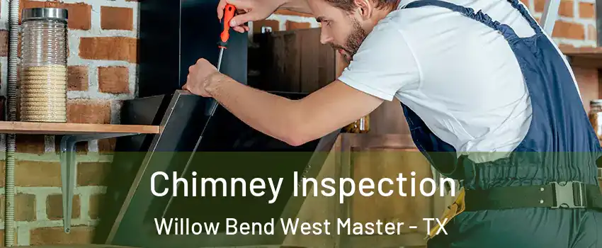 Chimney Inspection Willow Bend West Master - TX