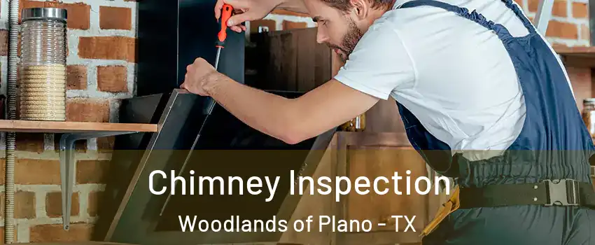 Chimney Inspection Woodlands of Plano - TX