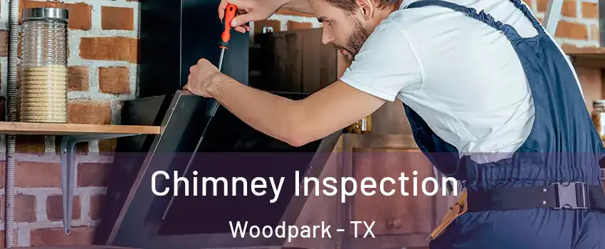 Chimney Inspection Woodpark - TX