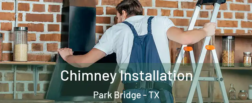 Chimney Installation Park Bridge - TX