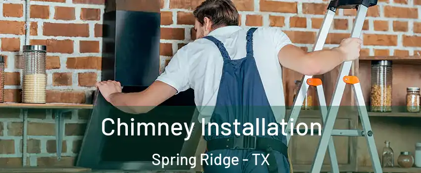 Chimney Installation Spring Ridge - TX