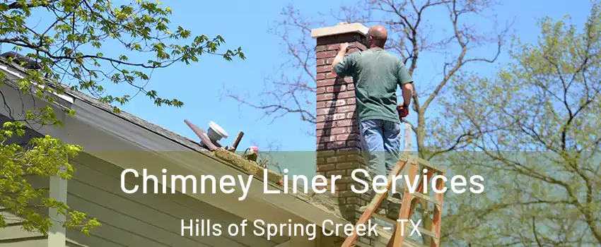Chimney Liner Services Hills of Spring Creek - TX