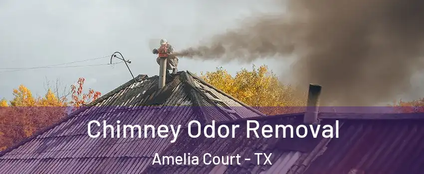 Chimney Odor Removal Amelia Court - TX