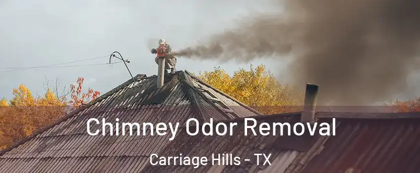 Chimney Odor Removal Carriage Hills - TX
