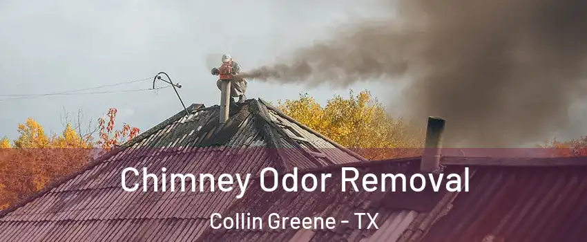 Chimney Odor Removal Collin Greene - TX