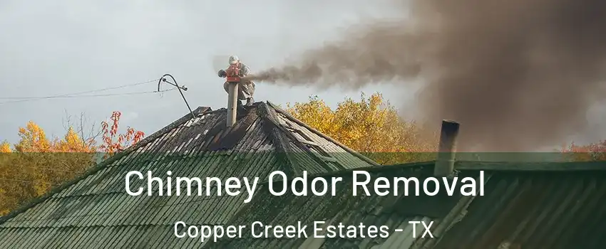 Chimney Odor Removal Copper Creek Estates - TX
