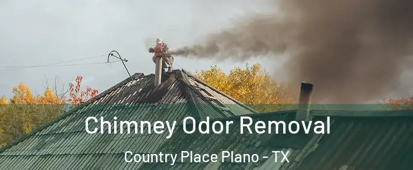 Chimney Odor Removal Country Place Plano - TX