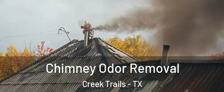 Chimney Odor Removal Creek Trails - TX