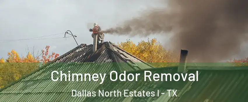Chimney Odor Removal Dallas North Estates I - TX