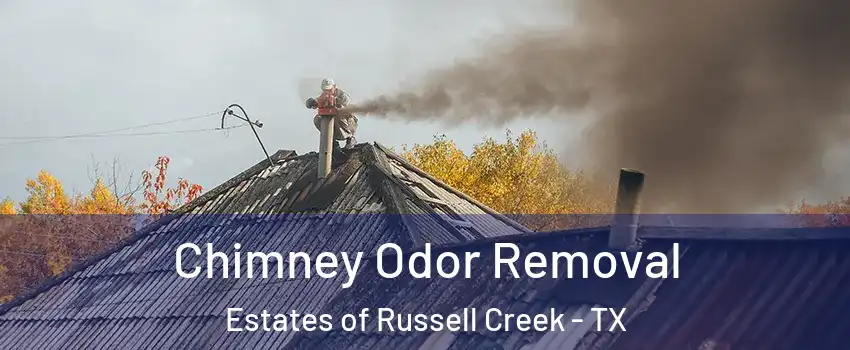Chimney Odor Removal Estates of Russell Creek - TX