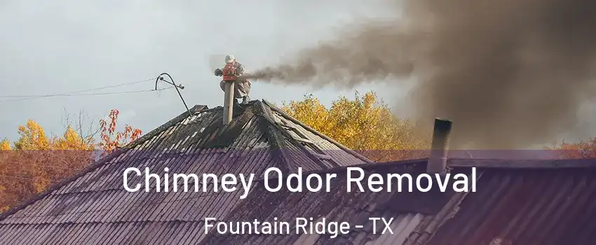 Chimney Odor Removal Fountain Ridge - TX